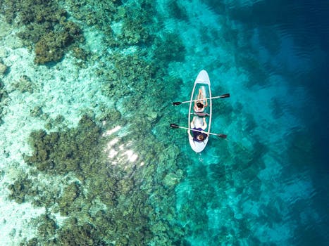 The Best Coral Reef Hotels for Snorkeling Right from Your Room