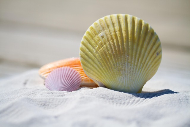Cornwall Beach Villas for Coastal Holidays