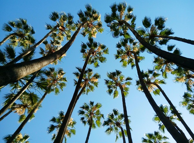 Costa del Sol Resorts for Coastal Holidays