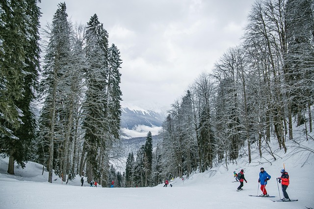Kopaonik Ski Resorts for Winter Trips
