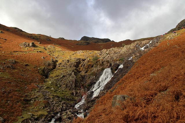 Lake District Lodges for Nature Lovers