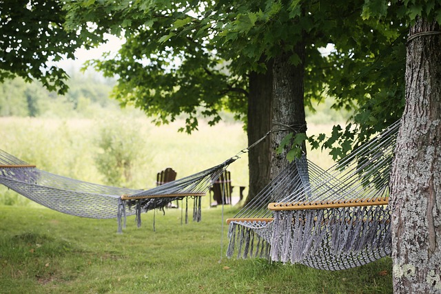 Slovakia Rural Homestays for Slow Escapes