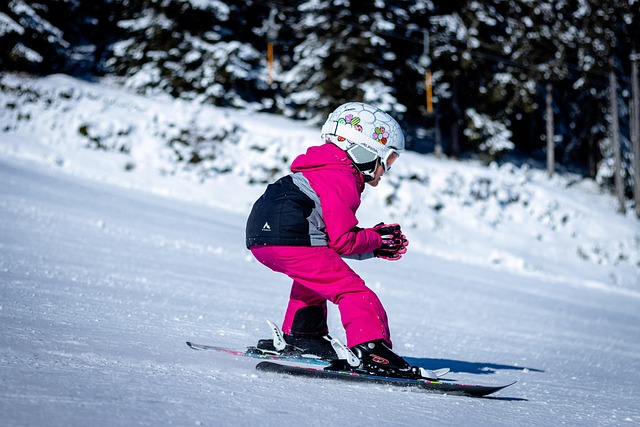 Slovakia Ski Villas for Winter Holidays