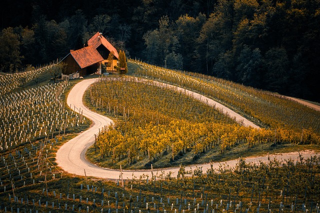 Slovenia Rural Homestays for Slow Travel