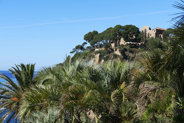 Spain Beach Villas for Coastal Escapes