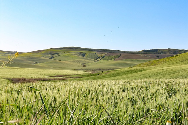 Spain Countryside Villas for Slow Travel