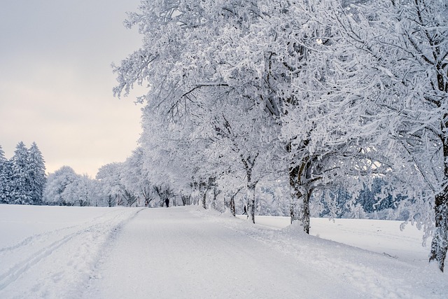 Sweden Winter Lodges for Snow Travelers