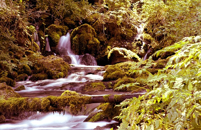 Tara National Park Villas for Hikers