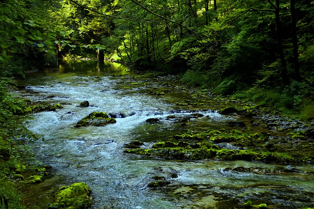 Triglav Park Lodges for Nature Lovers